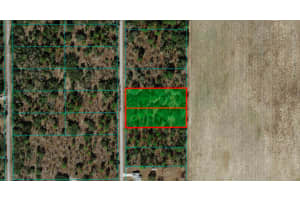 1281 VIBURNUM ROAD, DUNNELLON, FL 34431 - MLS#MFROM709597