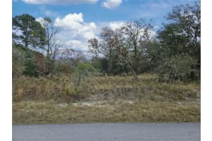 1281 VIBURNUM ROAD, DUNNELLON, FL 34431 - MLS#MFROM709597