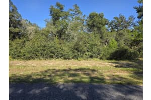 0 21 LANE, OCALA, FL 34473 - MLS#MFROM709603