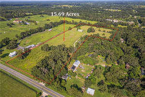 12615 GAINESVILLE ROAD, REDDICK, FL 32686 - MLS#MFROM709619