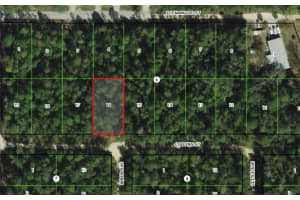 2912 COLLINS STREET, INVERNESS, FL 34452 - MLS#MFROM709634
