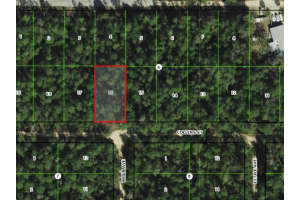 2912 COLLINS STREET, INVERNESS, FL 34452 - MLS#MFROM709634