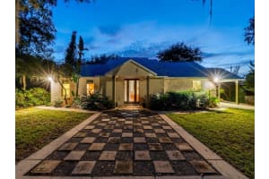 25212 E HIGHWAY 316, SALT SPRINGS, FL 32134 - MLS#MFROM709648