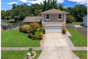 2589 KNOLL STREET, PALM HARBOR, FL 34683 - MLS#MFROM709701