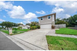 2589 KNOLL STREET, PALM HARBOR, FL 34683 - MLS#MFROM709701