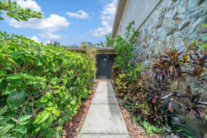 2589 KNOLL STREET, PALM HARBOR, FL 34683 - MLS#MFROM709701