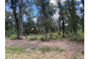 1628 DERBY DRIVE, DUNNELLON, FL 34434 - MLS#MFROM709706