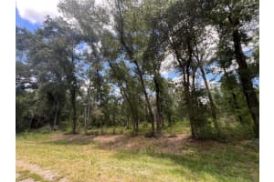 1628 DERBY DRIVE, DUNNELLON, FL 34434 - MLS#MFROM709706