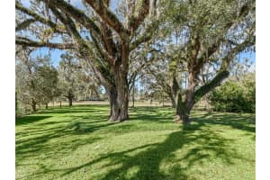3848 85TH TERRACE, OCALA, FL 34482 - MLS#MFROM709708