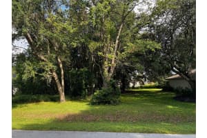 TBD PECAN COURSE TRACE, OCALA, FL 34472 - MLS#MFROM709712