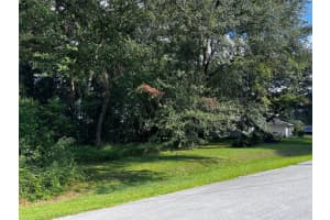 TBD PECAN COURSE TRACE, OCALA, FL 34472 - MLS#MFROM709712