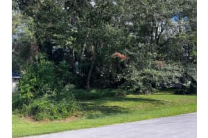 TBD PECAN COURSE TRACE, OCALA, FL 34472 - MLS#MFROM709712