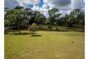 4982 WOODLAWN STREET, DUNNELLON, FL 34433 - MLS#MFROM709746