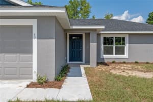 1 PECAN RUN LANE, OCALA, FL 34472 - MLS#MFROM709808