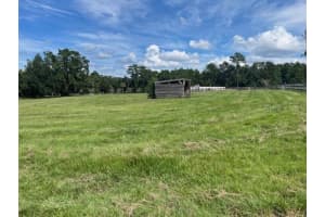 TBD 80TH STREET, OCALA, FL 34480 - MLS#MFROM709863