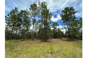 TBD 105TH LANE, DUNNELLON, FL 34431 - MLS#MFROM709867