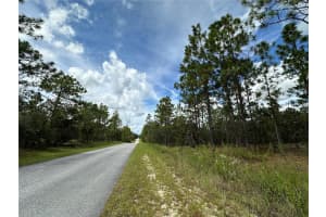 TBD 105TH LANE, DUNNELLON, FL 34431 - MLS#MFROM709867