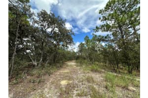 TBD 105TH LANE, DUNNELLON, FL 34431 - MLS#MFROM709867