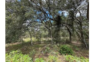 MLS# MFROM709870, Dunnellon, Florida 34431