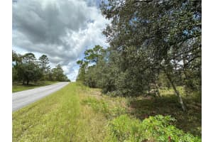 MLS# MFROM709870, Dunnellon, Florida 34431
