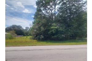 00 CEDAR ROAD, OCALA, FL 34472 - MLS#MFROM709890