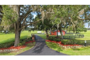 10880 160TH AVENUE, MORRISTON, FL 32668 - MLS#MFROM709897