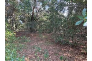 Lot 18 146TH AVENUE, OCALA, FL 34481 - MLS#MFROM709918