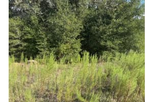 Lot 18 146TH AVENUE, OCALA, FL 34481 - MLS#MFROM709918