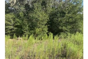 Lot 18 146TH AVENUE, OCALA, FL 34481 - MLS#MFROM709918