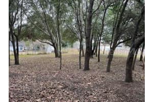 Lot 30 HEMLOCK RADIAL COURT, OCALA, FL 34472 - MLS#MFROM709939