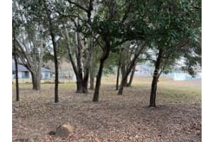 Lot 30 HEMLOCK RADIAL COURT, OCALA, FL 34472 - MLS#MFROM709939