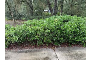 10625 153RD STREET, FORT MC COY, FL 32134 - MLS#MFROM709941