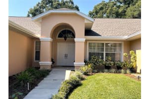 19176 93RD LOOP, DUNNELLON, FL 34432 - MLS#MFROM709958