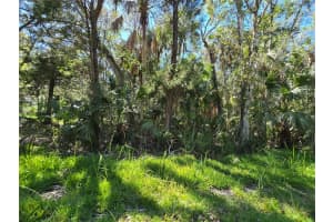 10919 LONDON LANE, HOMOSASSA, FL 34448 - MLS#MFROM709970