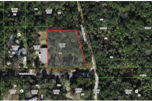 10919 LONDON LANE, HOMOSASSA, FL 34448 - MLS#MFROM709970