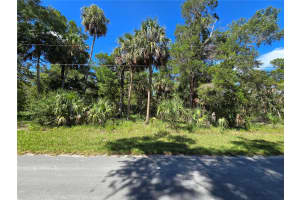 10919 LONDON LANE, HOMOSASSA, FL 34448 - MLS#MFROM709970