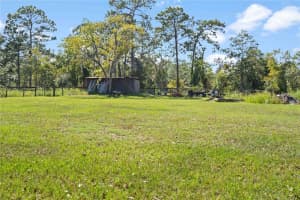 11350 35TH STREET, MORRISTON, FL 32668 - MLS#MFROM709973