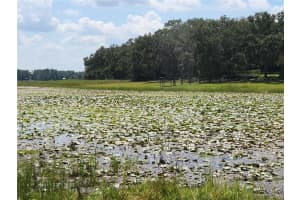 Lot 53 SHOREWOOD DRIVE, DUNNELLON, FL 34431 - MLS#MFROM709974