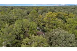39005 STATE ROAD 575, DADE CITY, FL 33523 - MLS#MFROM709999
