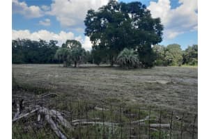 tbd 137TH TERRACE, WILLISTON, FL 32696 - MLS#MFROM710001