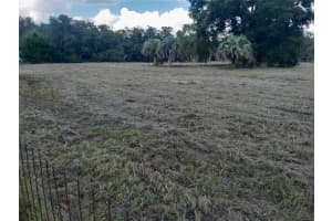tbd 137TH TERRACE, WILLISTON, FL 32696 - MLS#MFROM710001