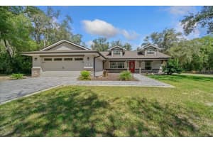 385 GAMEWELL LANE, CITRUS SPRINGS, FL 34434 - MLS#MFROM710010