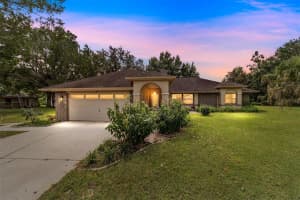 3099 210TH AVENUE, DUNNELLON, FL 34431 - MLS#MFROM710013