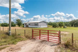 15919 108TH LOOP, OCKLAWAHA, FL 32179 - MLS#MFROM710045