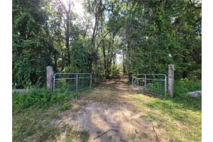 4286 CARL G ROSE HIGHWAY, HERNANDO, FL 34442 Sold 01/22/26