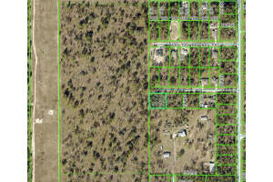 14056 RACE AVENUE, WEEKI WACHEE, FL 34614 - MLS#MFROM710126