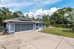 109 FISHER WAY, OCKLAWAHA, FL 32179 - MLS#MFROM710145
