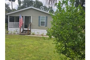 9450 306TH COURT, SALT SPRINGS, FL 32134 - MLS#MFROM710199