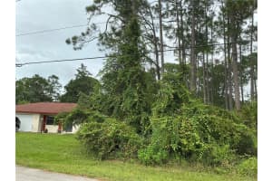 191 BOULDER ROCK DRIVE, PALM COAST, FL 32137 - MLS#MFROM710201