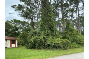 191 BOULDER ROCK DRIVE, PALM COAST, FL 32137 - MLS#MFROM710201